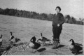 2 'Gussie Goose,' Live Decoys. Birch Point Gunning Club, Canton MA.jpg