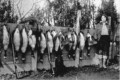 4 Dead ducks, Birch Point Gunning Club, Canton MA.jpg
