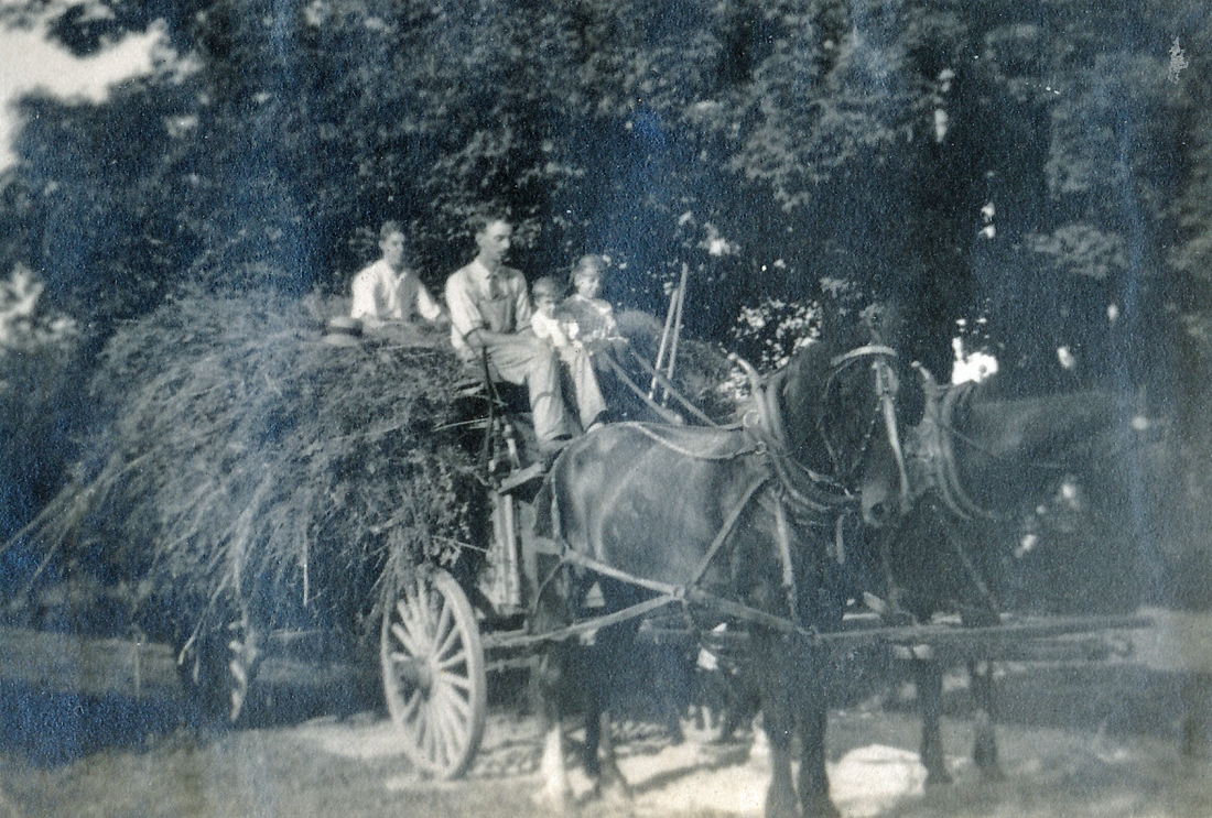 IMG_0005e The hay load.jpg