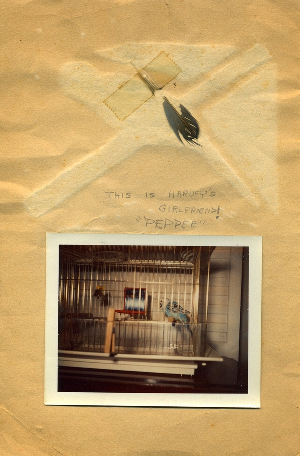 1967-12 2 Harvey Card.jpg