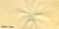 1968~ 3 Karen to Eric.jpg
