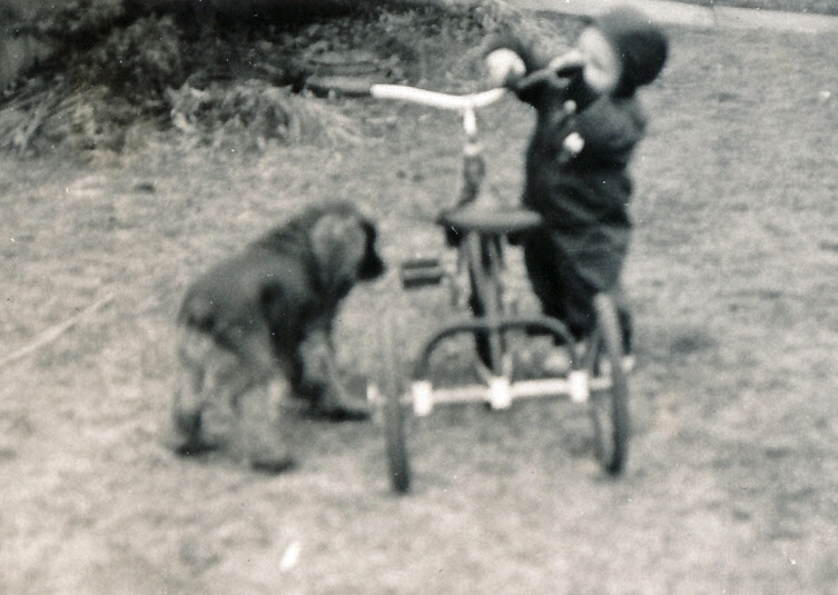 1949-12-17 7 Peter & Pete Jr with trike, the weekend before Christmas.jpg