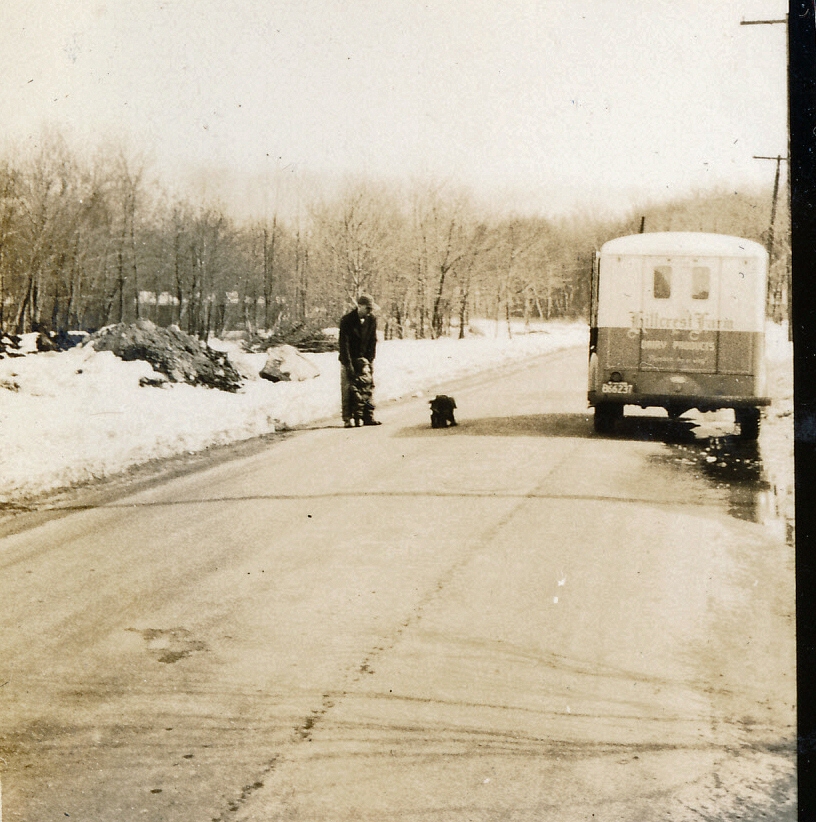 1950-03-05 'More Milk' - looking down Highgate St, no houses on left!.jpg
