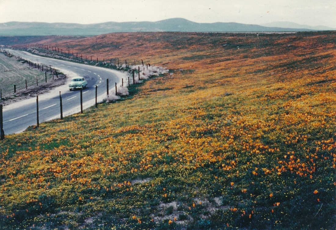 1954-05 04 Pete's first trip to California.jpg