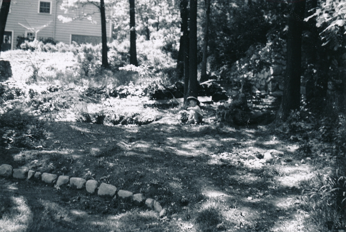 1954-05-30 5 Dan, rock divider in progress - possibly bits of pachysandra.jpg