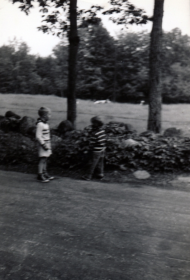 1954-06-28~ 8 Pete Jr, Dan & cows in field; across the road from the Perry house, Weare NH.jpg