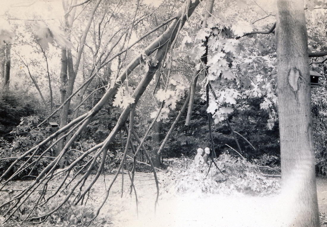 1954-09-03~ 2 Pete Jr & Dan, after the storm (likely Hurricane Carol).jpg