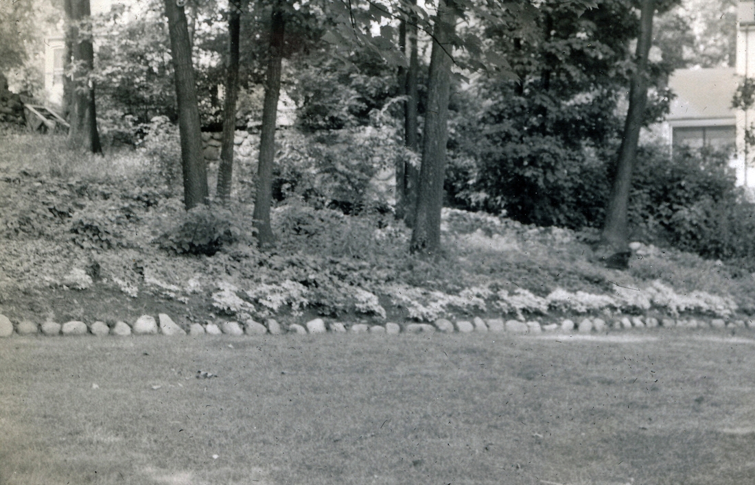 1955-07~ 8 Mom's rock garden with variegated bishop's weed and small shrub (pachysandra has not yet taken hold); back yard, 204 Highgate, Needham.jpg