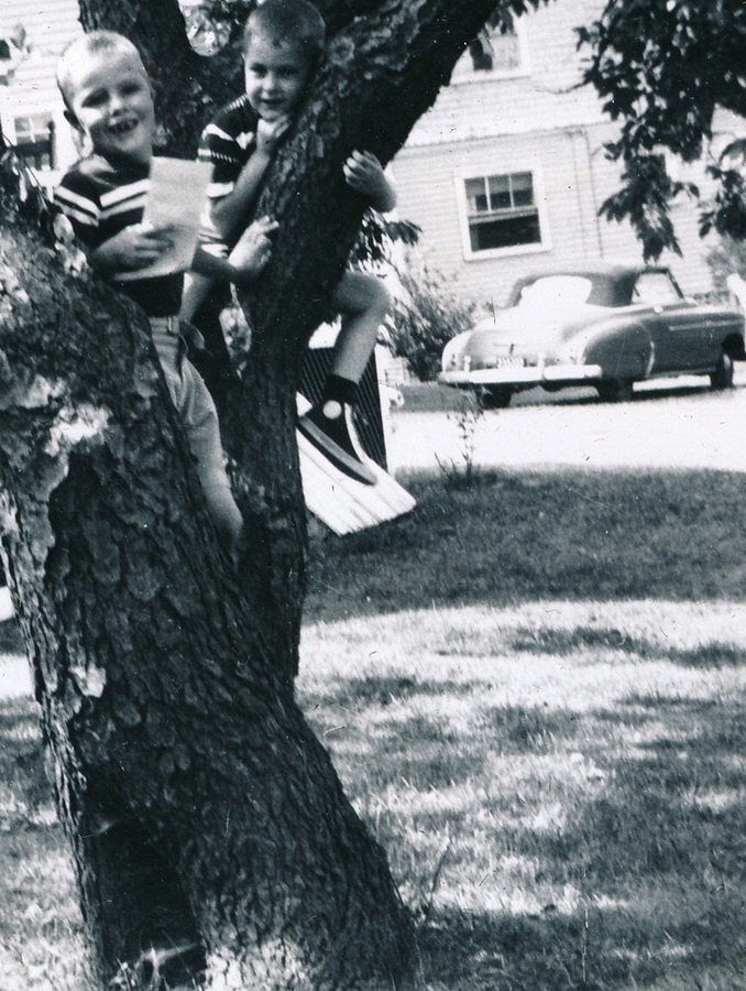 1955-08 03 Pete Jr & Dan, tree climbing; Vacation, Cape Ann & Southern NH.jpg