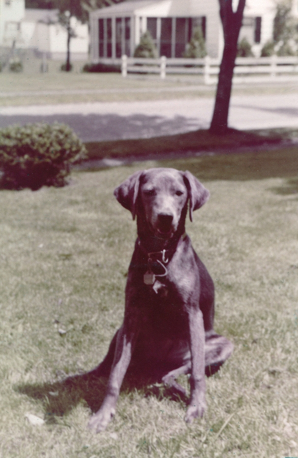 1956-08~ 2 Dusty.jpg