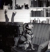 1960-12 Dusty is waiting for Santa.jpg