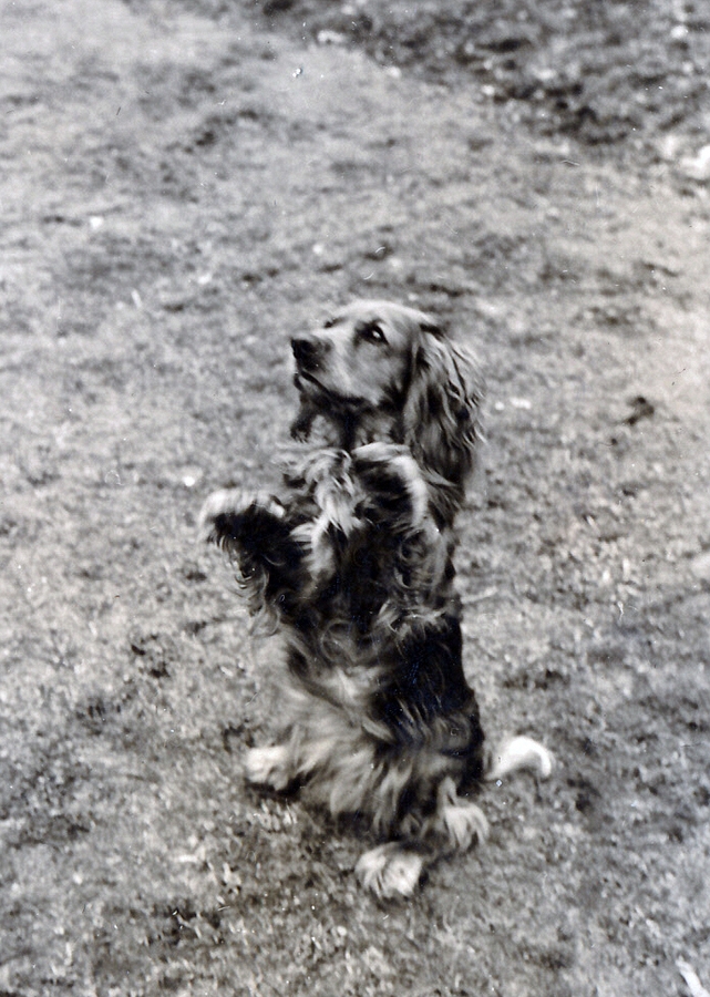 1949-03-26 7 Ritz.jpg