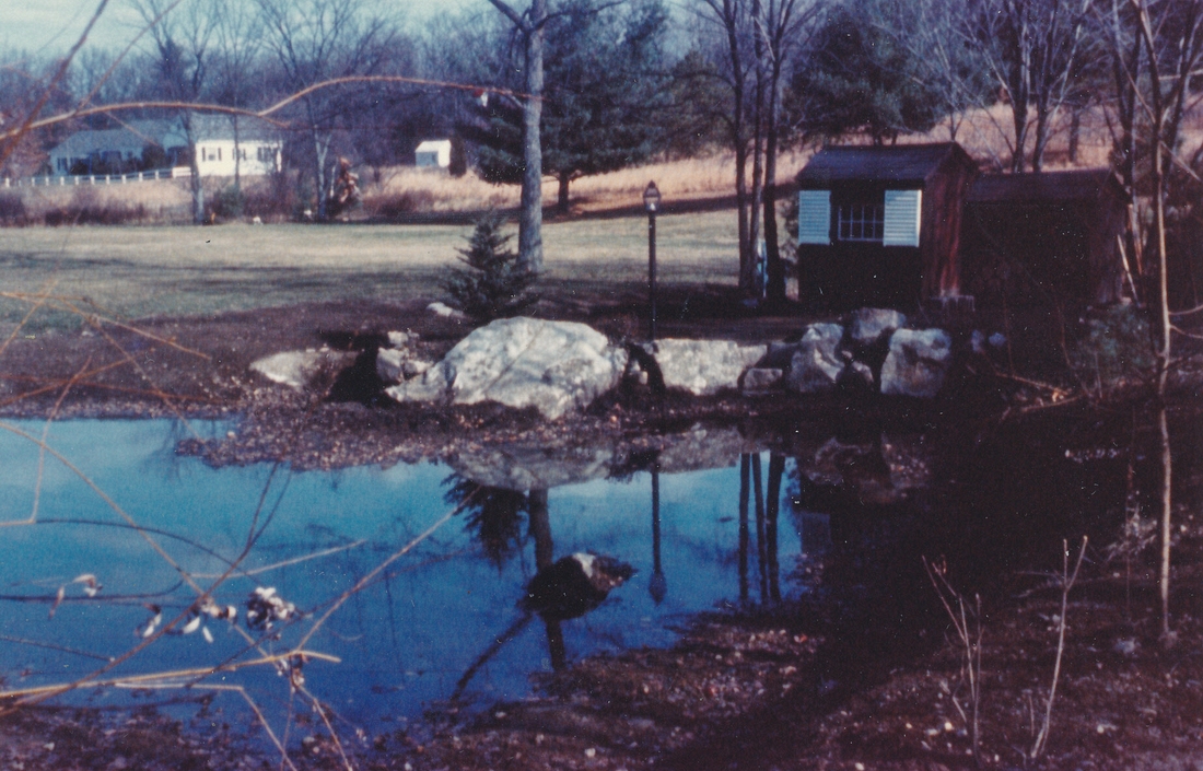 1965-03~ Judy's skating rink, Sudbury MA.jpg