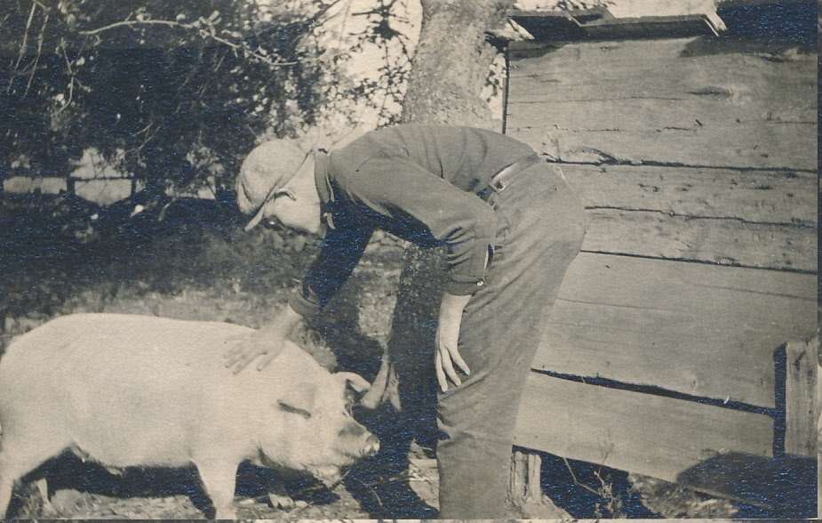 1916~ 04 Ped & Pig, Oxford CT.jpg