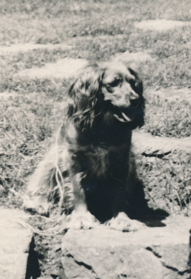 1938~ Antoinette (Toni).jpg