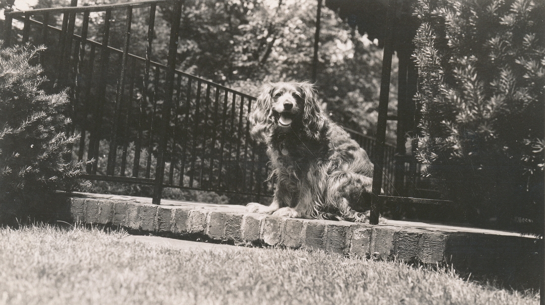 1943 2 Toni.jpg