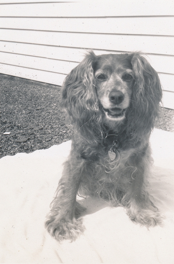 1945-08~ 3 Sweet Toni.jpg