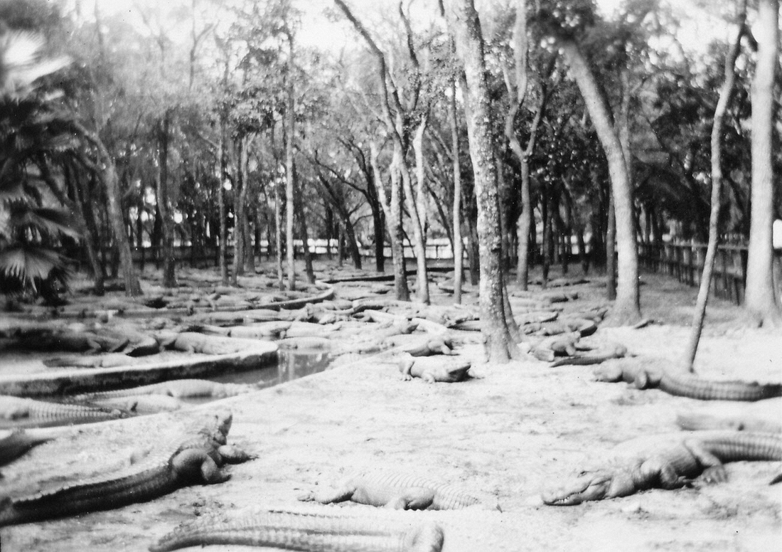 1937-02 1 St Augustine FL.jpg