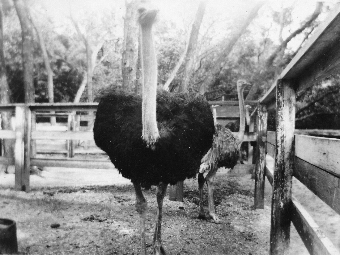 1937-02 2 St Augustine FL.jpg