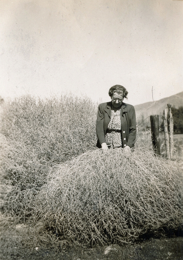 1948-02~ Gram with tumbleweed, California.jpg