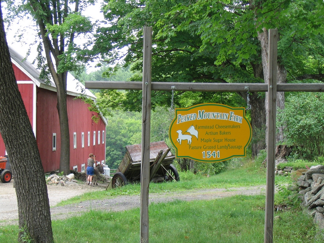 2004-07-26 1a Our personal Vermont Cheese Tour - Peaked Mt Farm, VT.jpg