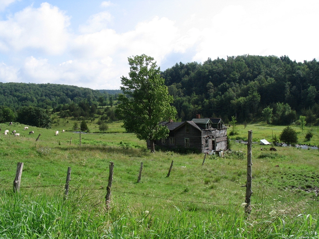 2004-07-29 0 Cheese Tour - Near Orb Weaver Farm.JPG