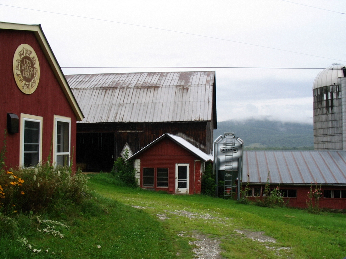2004-07-29 1 Cheese Tour - Orb Weaver Farm, New Haven VT.jpg