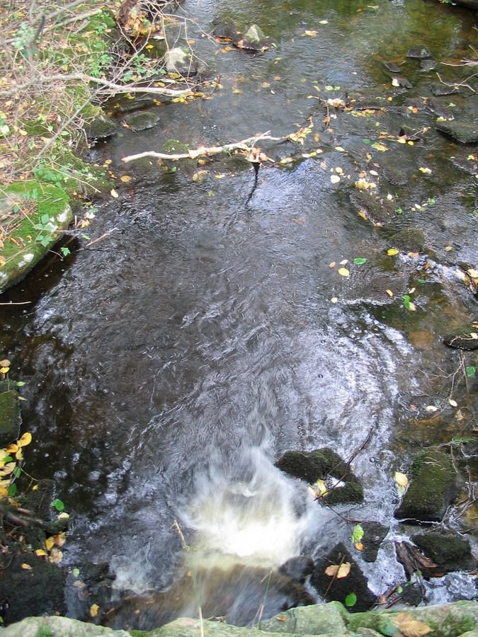 2004-09-19 1 High Span Bridge, Noanet Woodlands, Dover.JPG