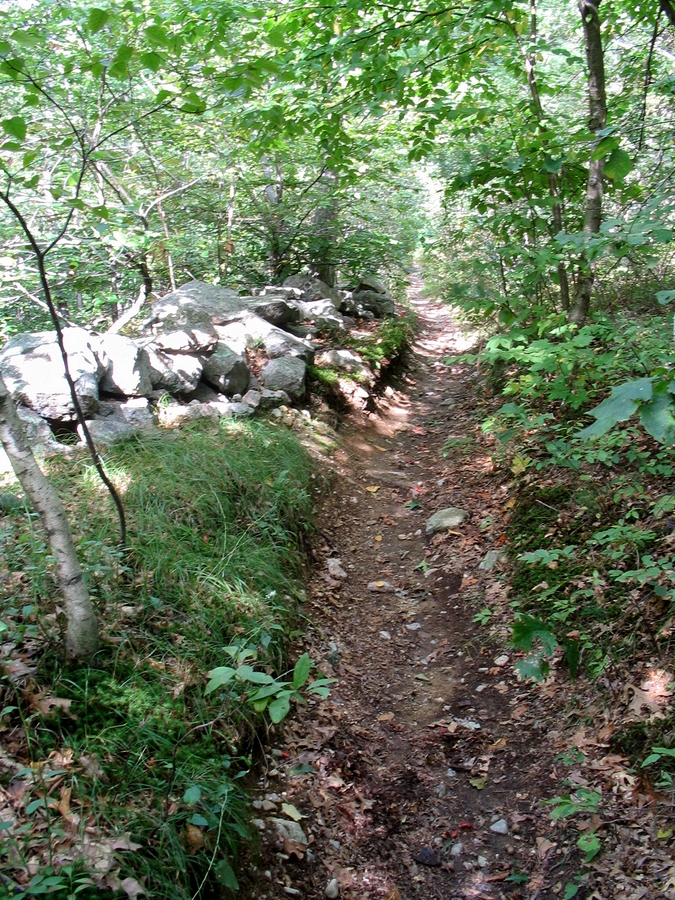 2004-09-19 3 Dover, East of Noanet Woodlands.JPG