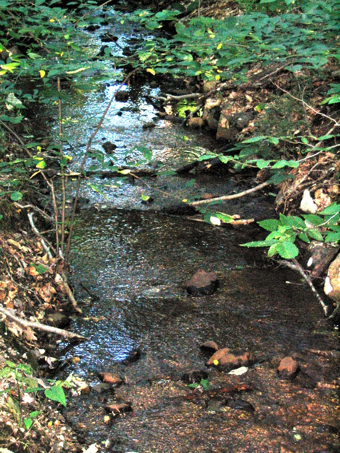2004-09-19 6a Noanet Woodlands, Dover.jpg