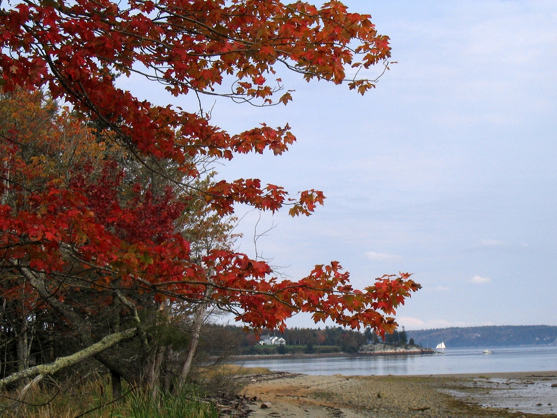 2004-10-10 2a Near Hutchins Island, Islesboro.jpg