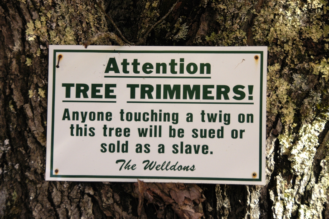 2004-10-10 4 Welldons tree sign, Islesboro.jpg