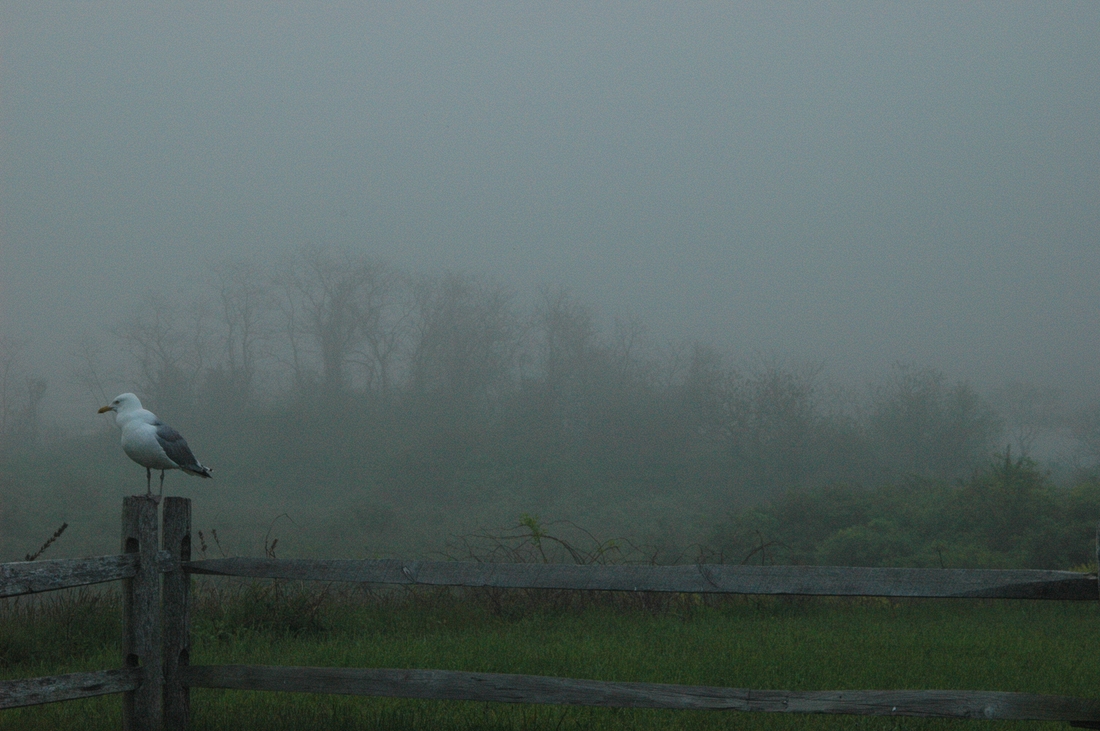 2005-05-31 1 Fort Hill, early morning.JPG