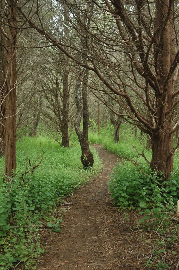 2005-05-31 4 Fort Hill, early morning.JPG