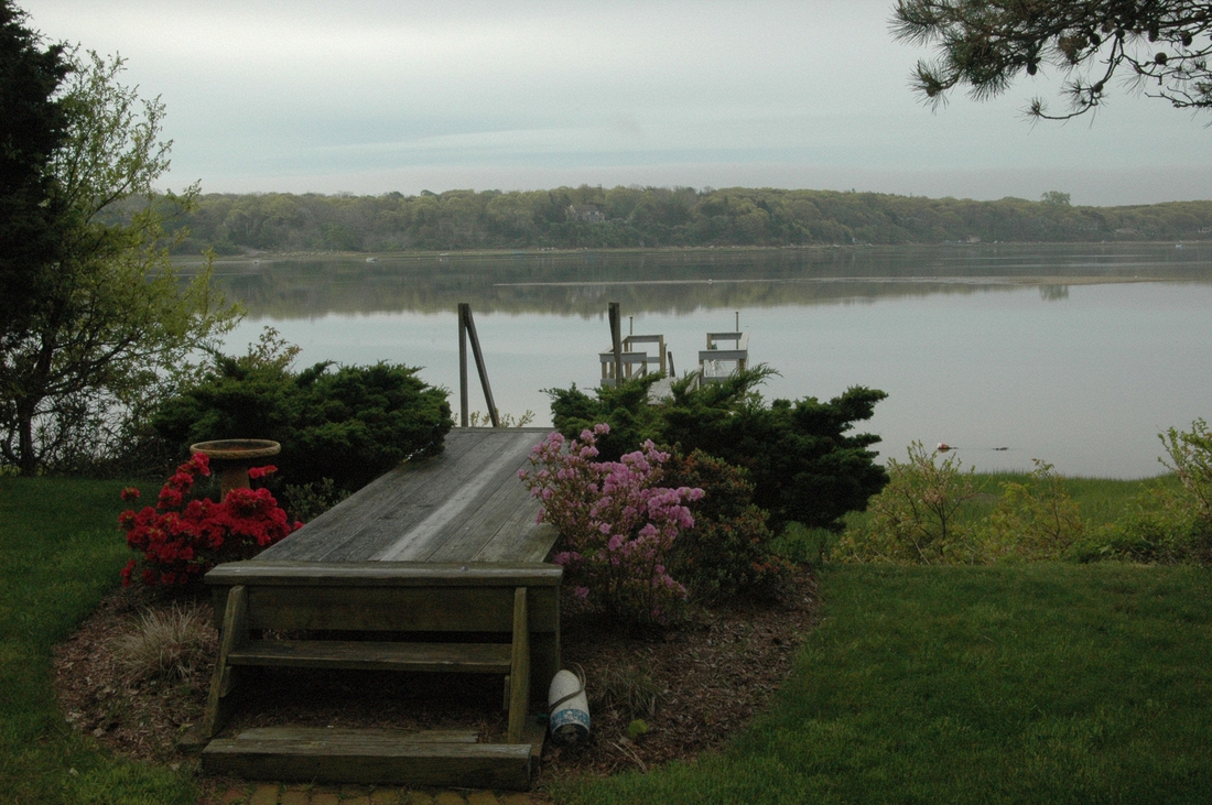 2005-06-04 View from Ron's, Eastham.jpg