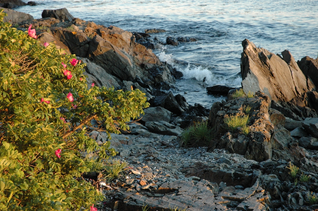 2005-07-02 10 Town Beach, Islesboro.JPG