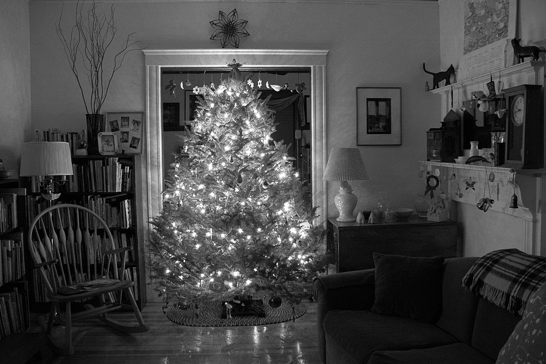 2005-12-16 Our Christmas Tree in Rozzie.jpg