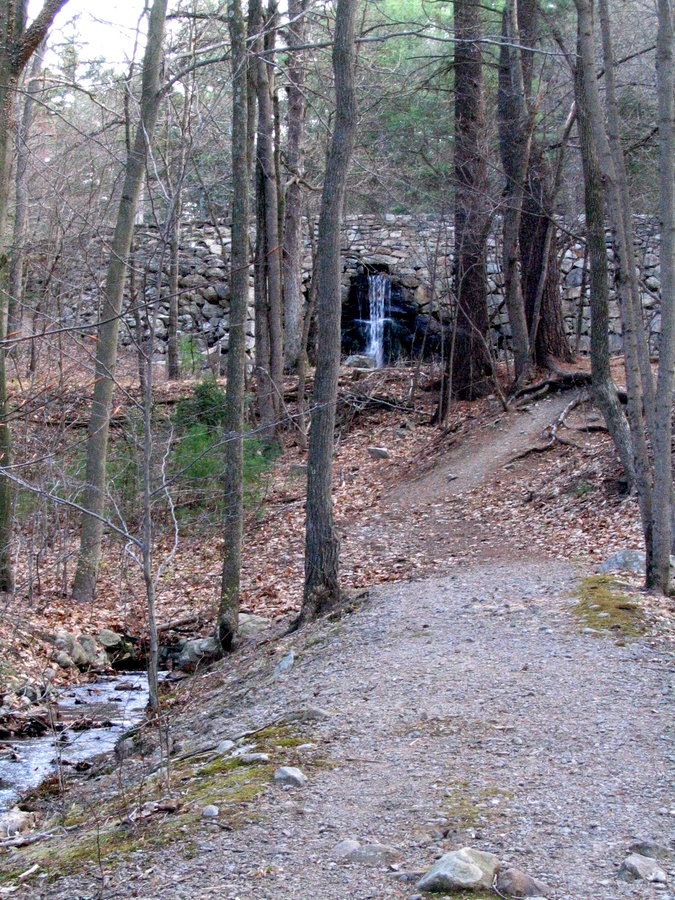 2006-04-16 2 Below the Dam at Noanet Woodlands, Dover.jpg