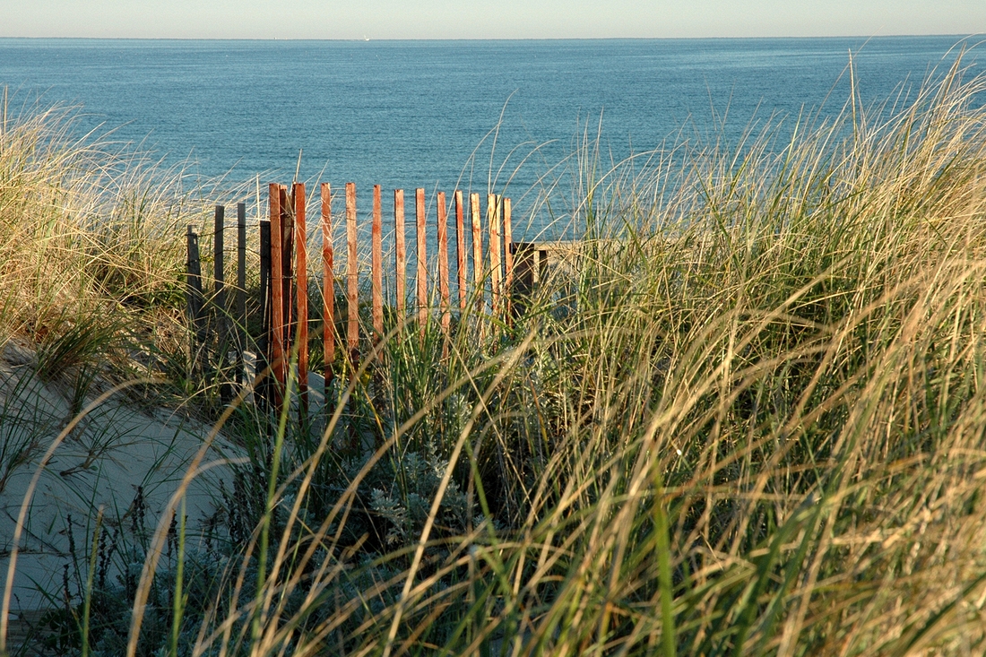 2006-09-27 Red Snow Fence, Sandwich.jpg
