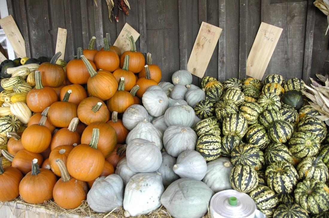 2007-10-15 9 Beth's Farm Market, Waldoboro.JPG