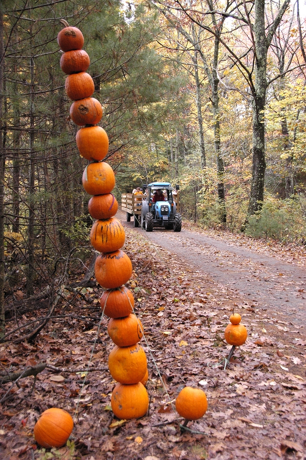 2007-10-20 1 Stow - Honey-Pot Hill Orchards.jpg
