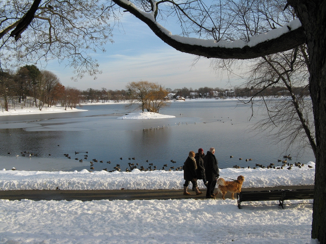 2007-12-14 1 Jamaica Pond snow and sunlight.JPG