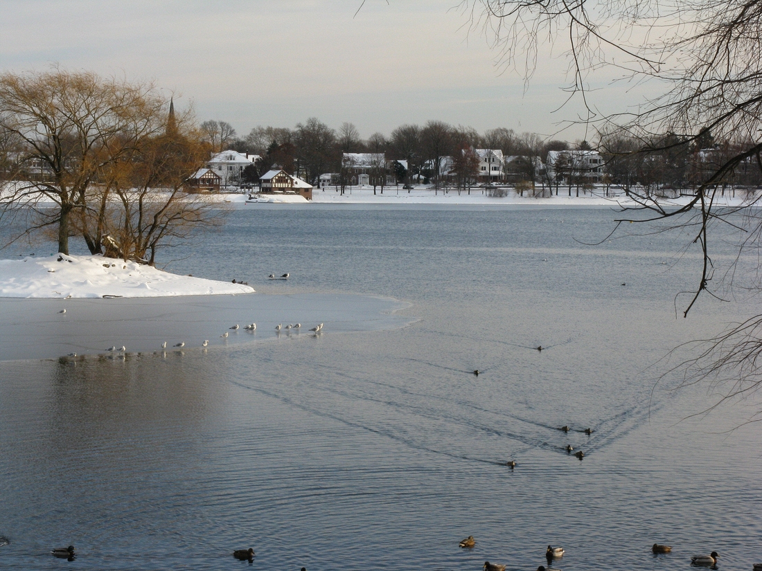 2007-12-14 2 Jamaica Pond snow and sunlight.JPG