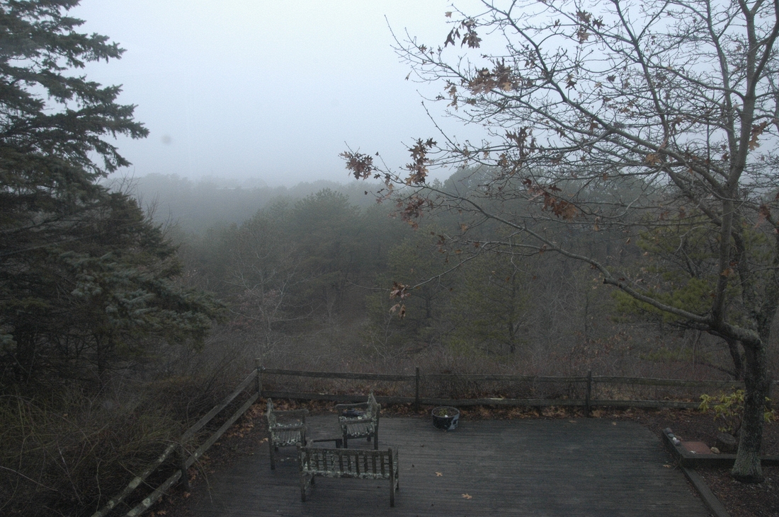 2007-12-29 1 Foggy View behind Wyckoff house, Truro.JPG