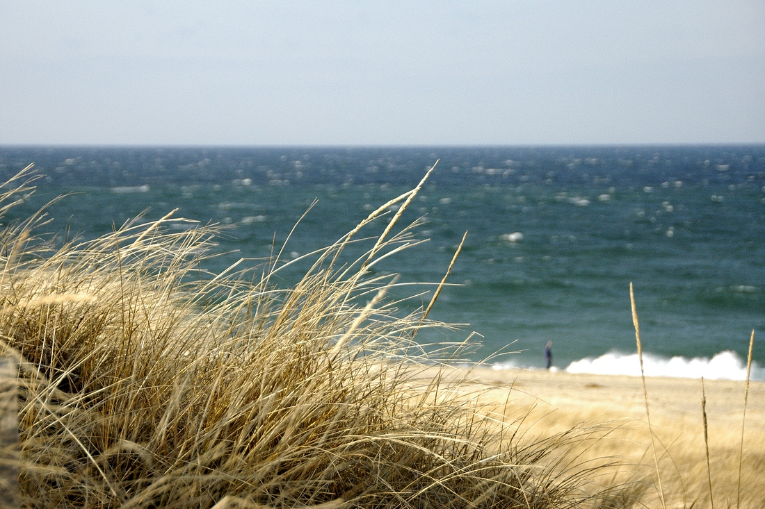 2007-12-31 3 Race Point, P'town.jpg