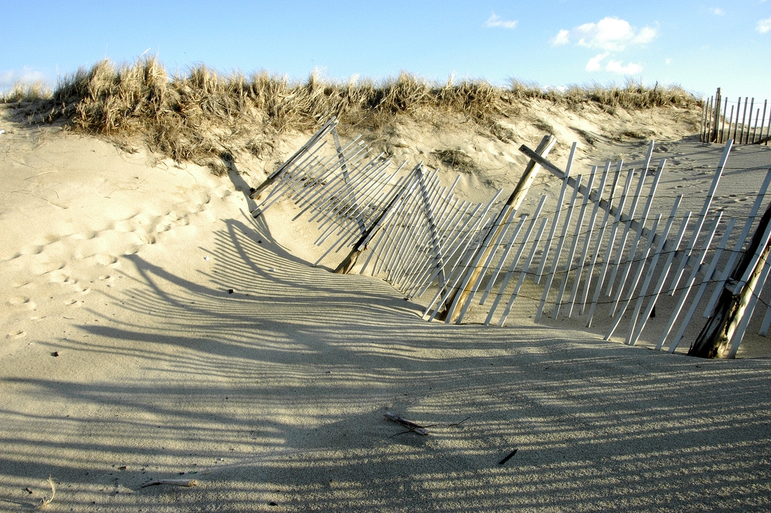 2007-12-31 6 Race Point, P'town.jpg