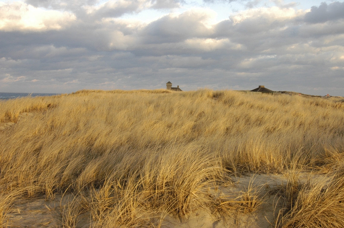 2007-12-31 8 Race Point, P'town.JPG