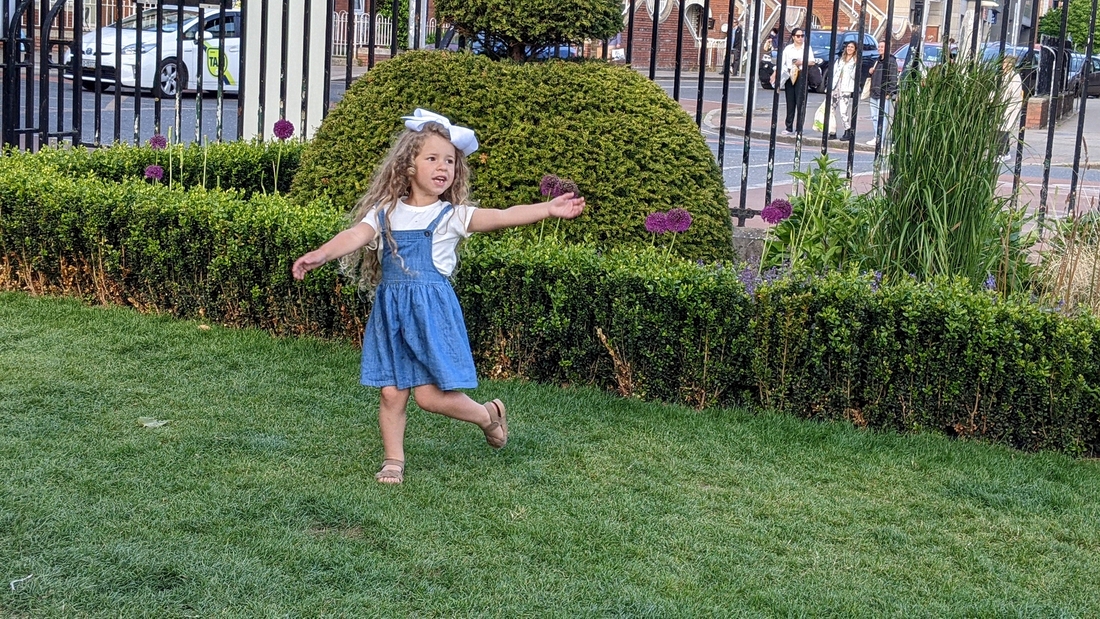 2022-05-29 146 St Patrick's Park, Dublin.jpg