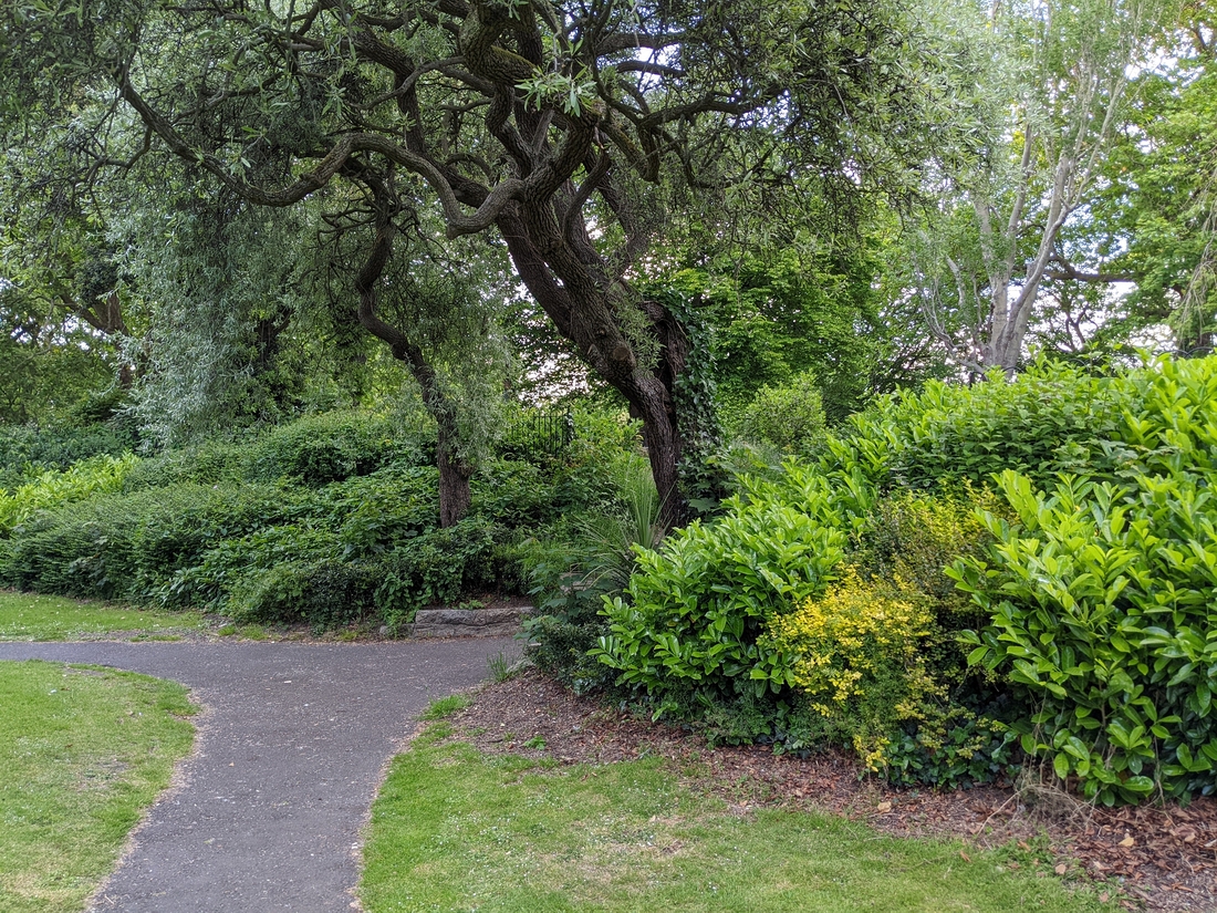 2022-05-29 253 St Stephen's Green Park, Dublin.jpg