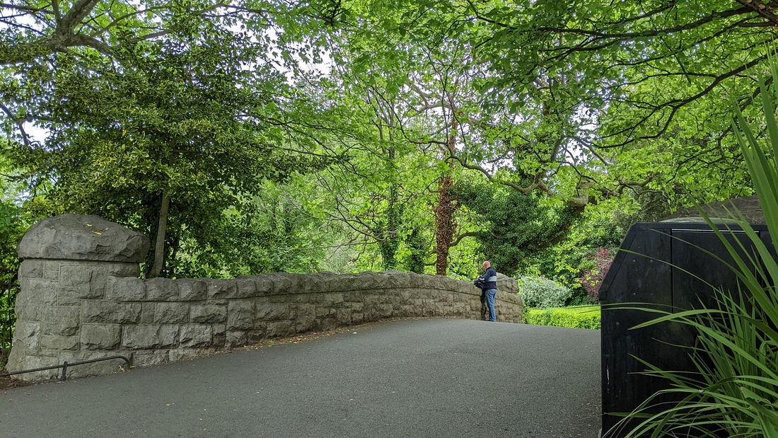 2022-05-30 032 St Stephen's Green Park, Dublin.jpg